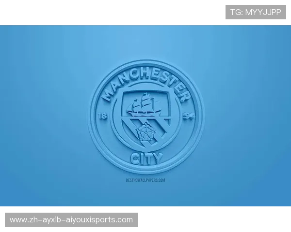 2006年英超球队队徽设计与赛事回顾